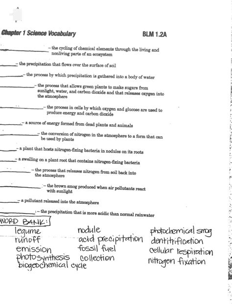 a judgment based on the results of an experiment|Ch. 1 Vocab Flashcards .